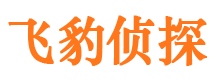 佳县市私家侦探